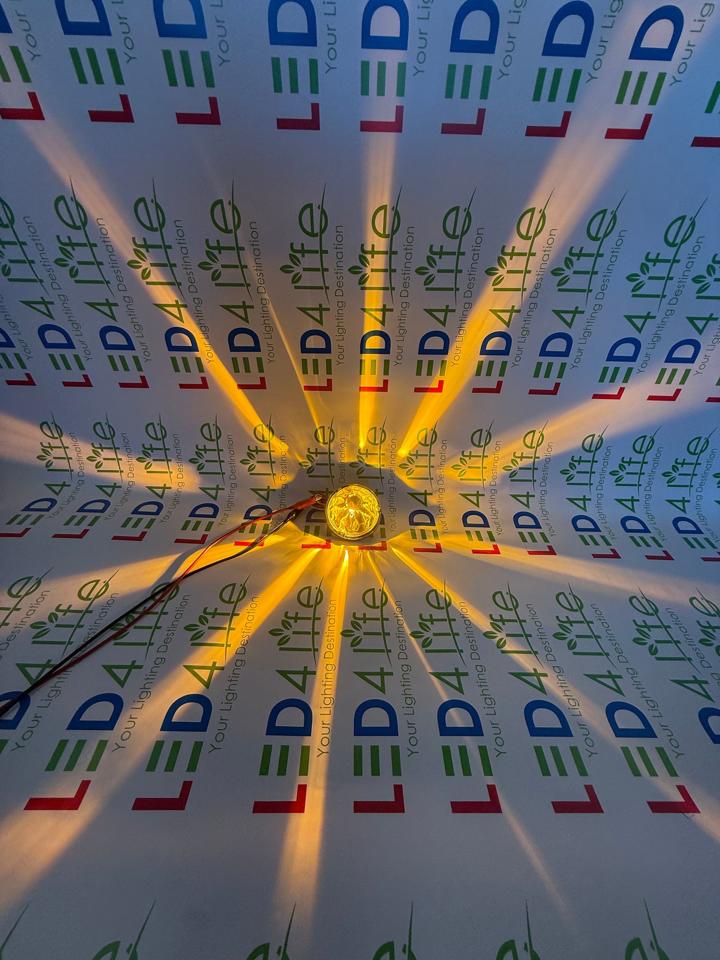 Watermelon Lights Single Color