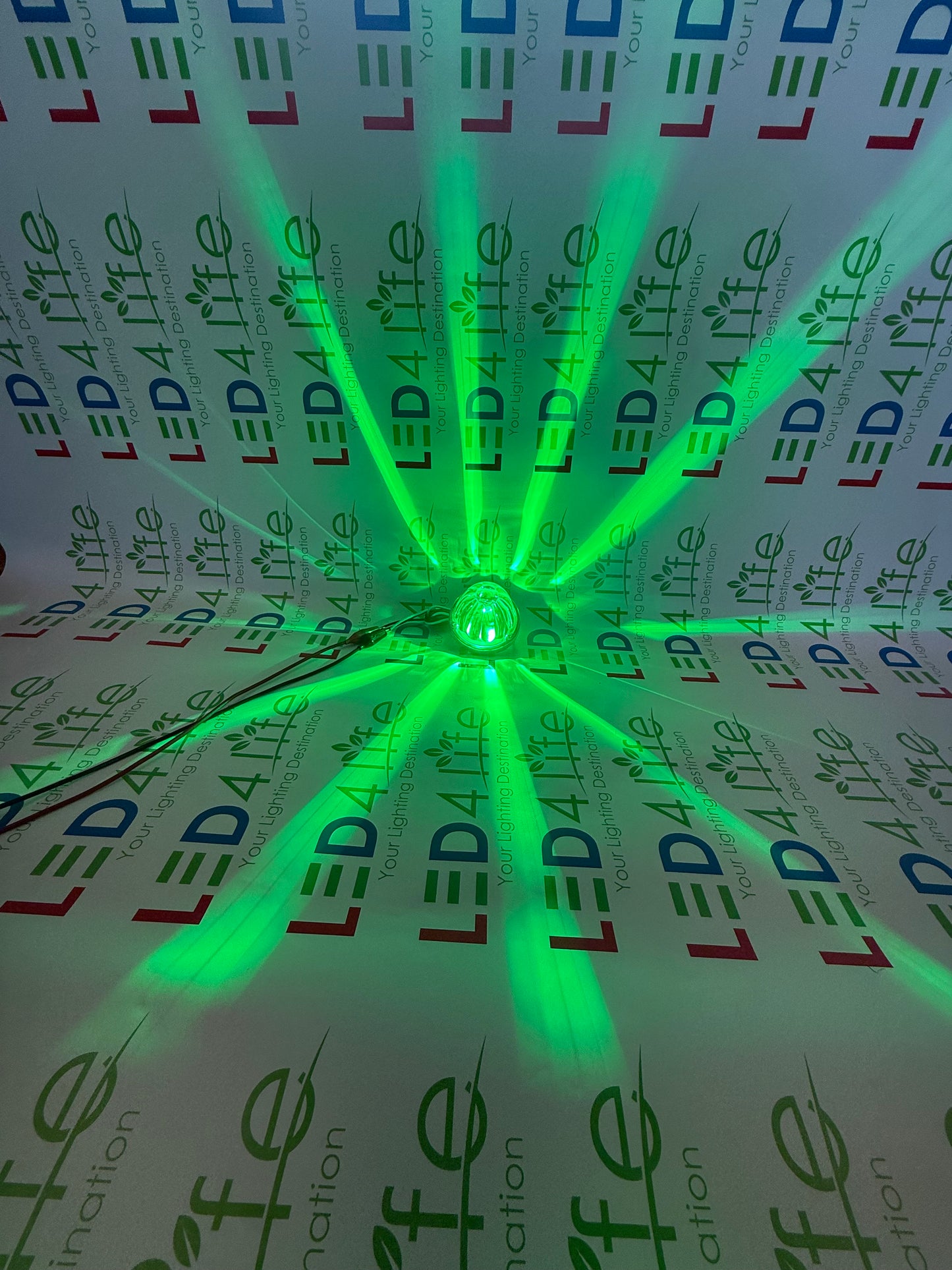 Watermelon Lights Single Color
