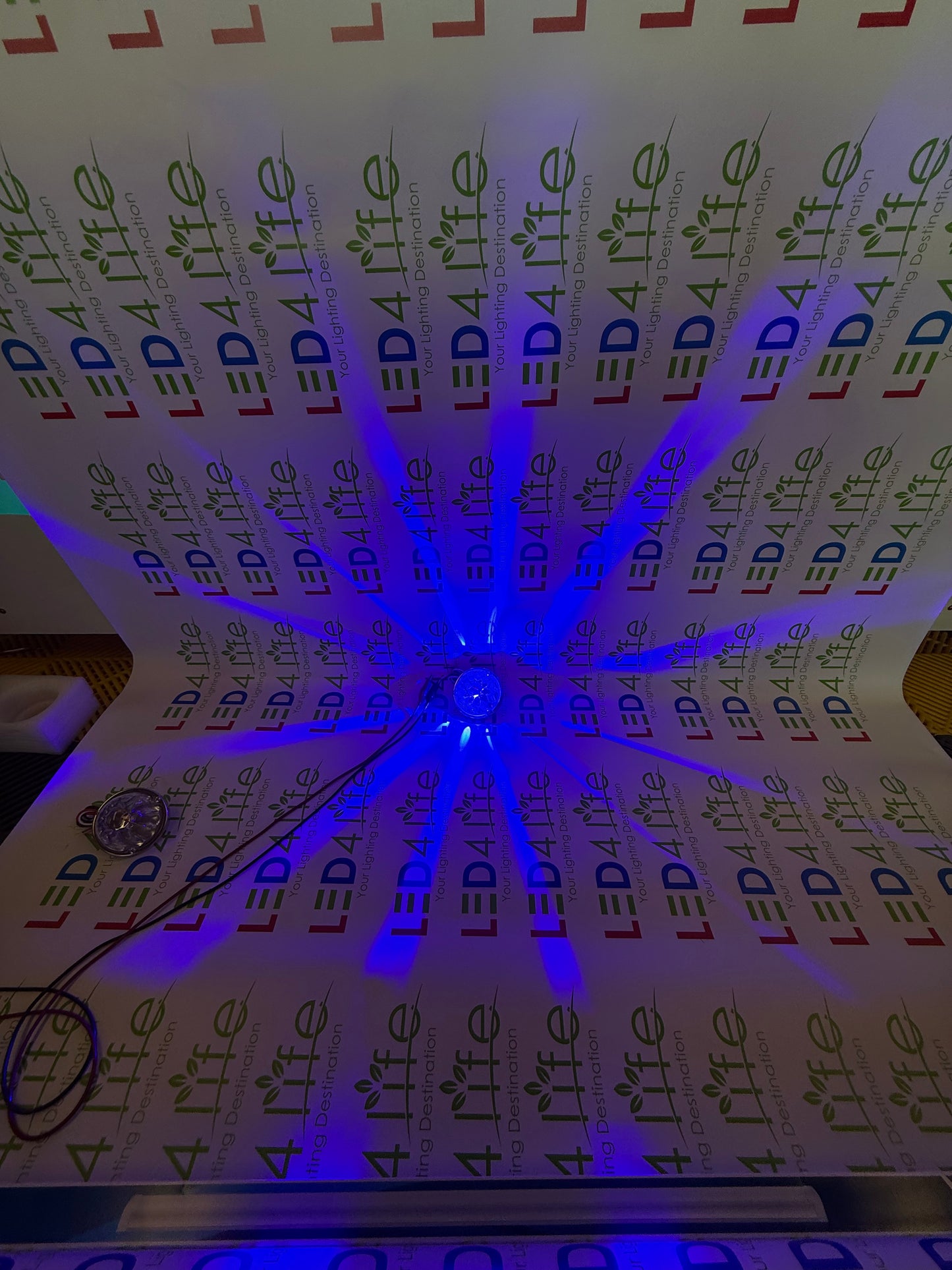 Watermelon Lights Single Color