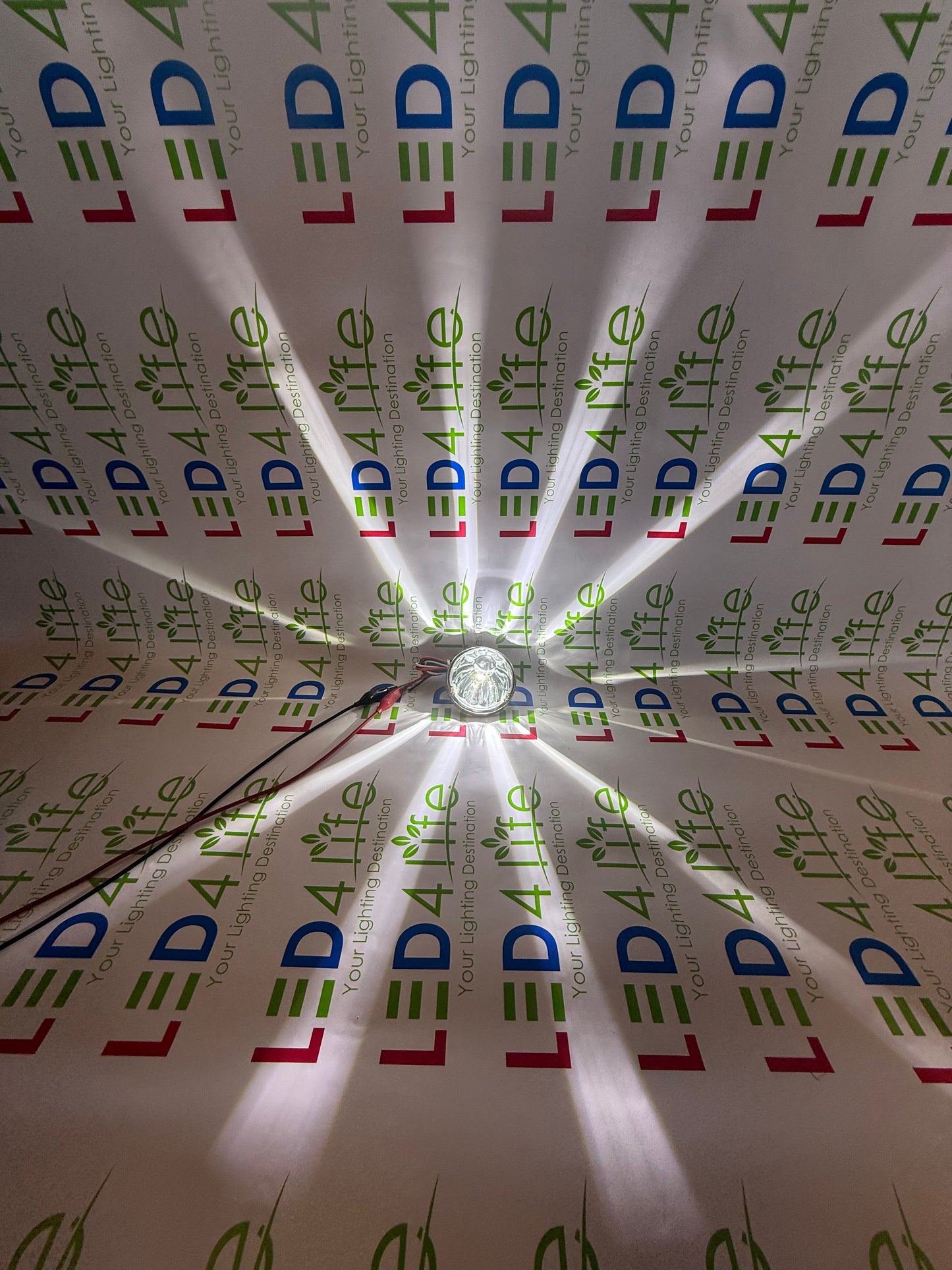 Watermelon Lights Single Color