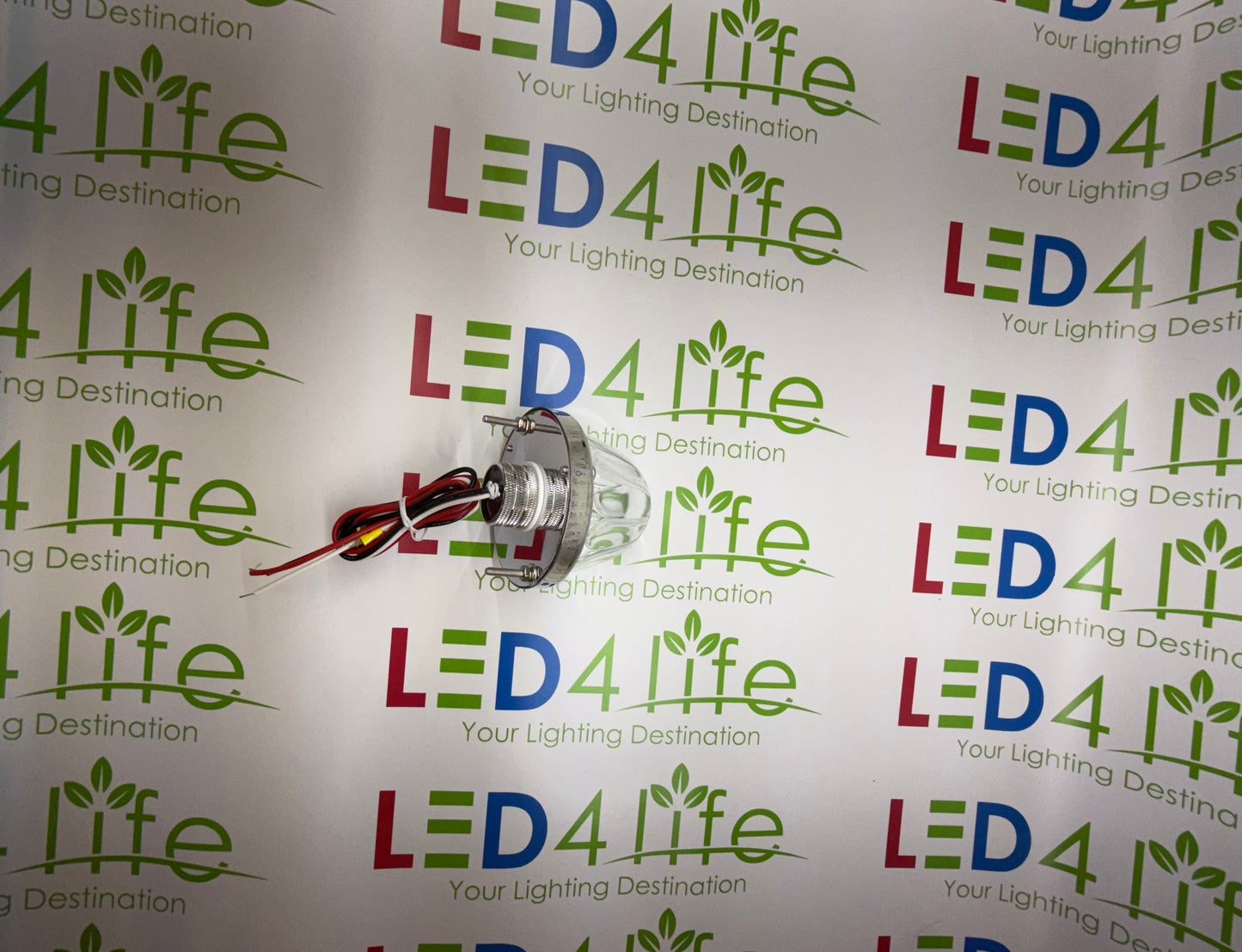Watermelon Lights Single Color