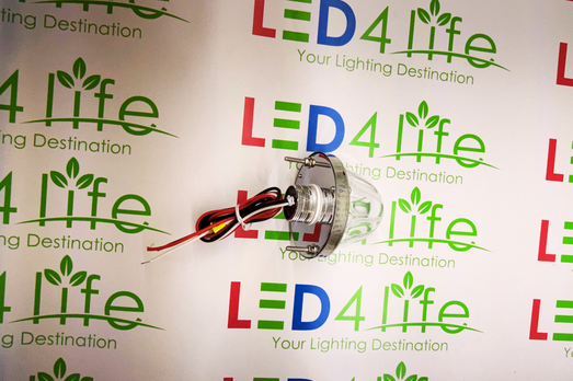 Watermelon Lights Single Color